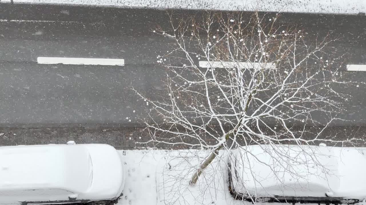 雪落在停放的汽车上视频下载