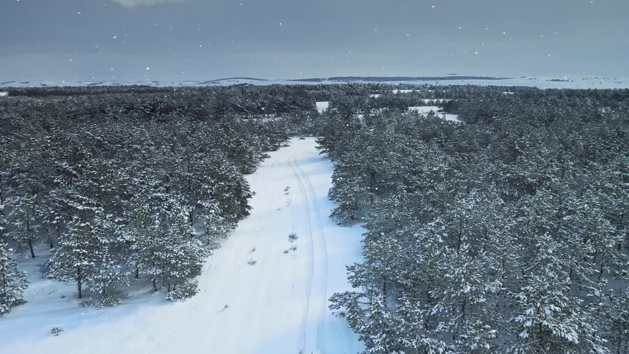 鸟瞰的汽车行驶在乡村的道路上的冬季度假度假视频素材