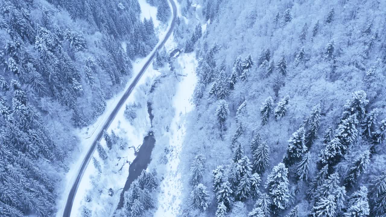 空中俯瞰无人机拍摄的松树和云杉树森林覆盖着雪在塔特拉山脉在斯洛伐克与农村的乡村道路。交通和生态概念4K视频。视频素材