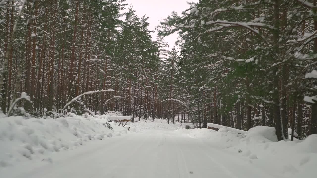 在森林里覆盖着雪的湿滑道路上小心驾驶。冬天，汽车在空旷的小路上行驶。视频素材