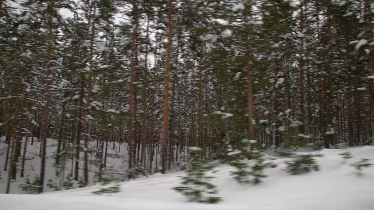 在森林里覆盖着雪的湿滑道路上小心驾驶。冬天，汽车在空旷的小路上行驶。视频素材