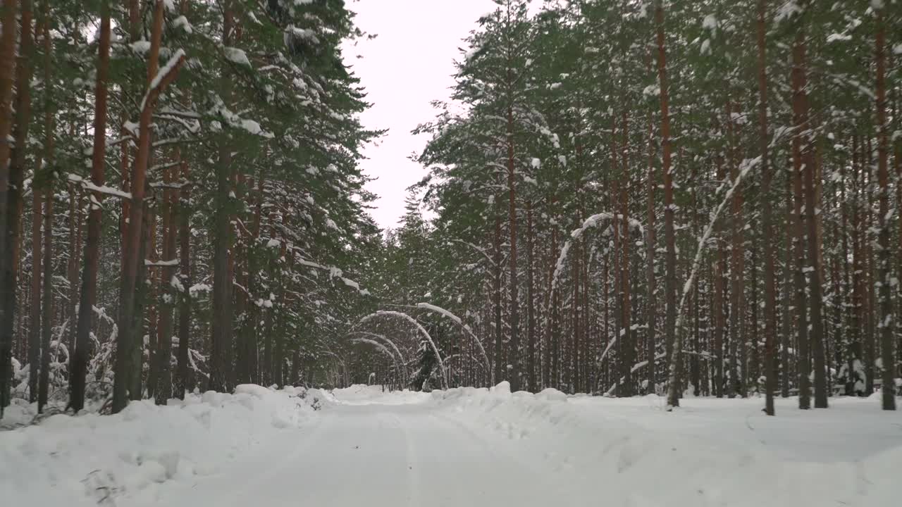 在森林里覆盖着雪的湿滑道路上小心驾驶。冬天，汽车在空旷的小路上行驶。视频素材