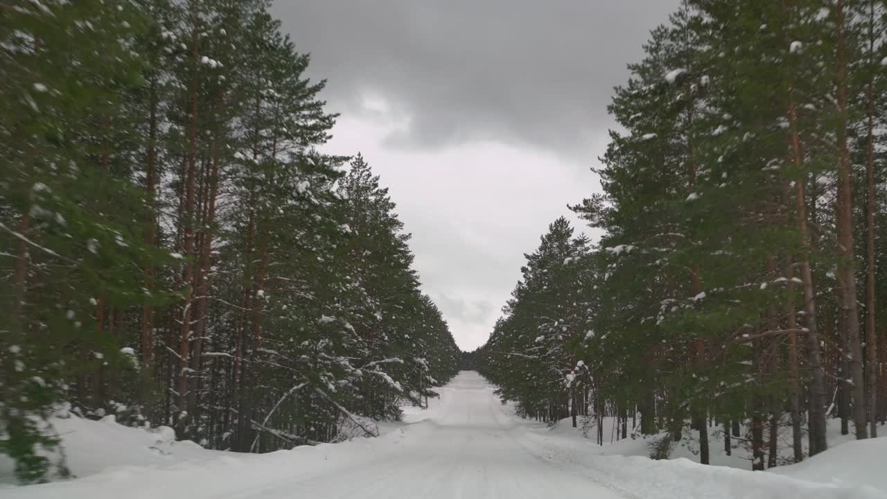 在森林里覆盖着雪的湿滑道路上小心驾驶。冬天，汽车在空旷的小路上行驶。视频素材