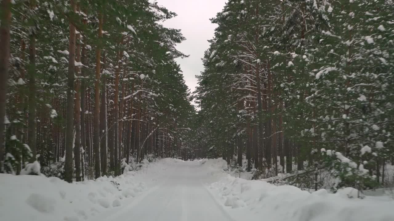 在森林里覆盖着雪的湿滑道路上小心驾驶。冬天，汽车在空旷的小路上行驶。视频素材