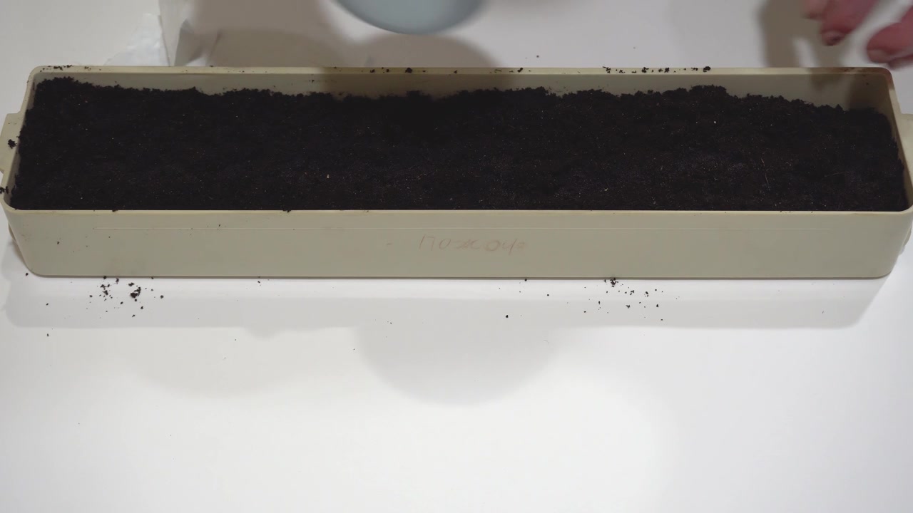 一名妇女用手将幼苗的种子覆盖在泥土中，并洒上水，为春季和夏季做准备视频素材画面4