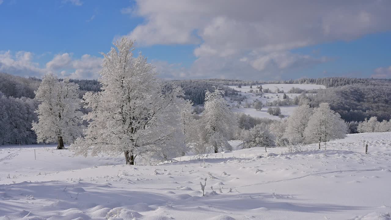 冬季景观中的山毛榉树，沃瑟库佩山，格斯菲尔德，Rhön，黑塞，德国视频素材