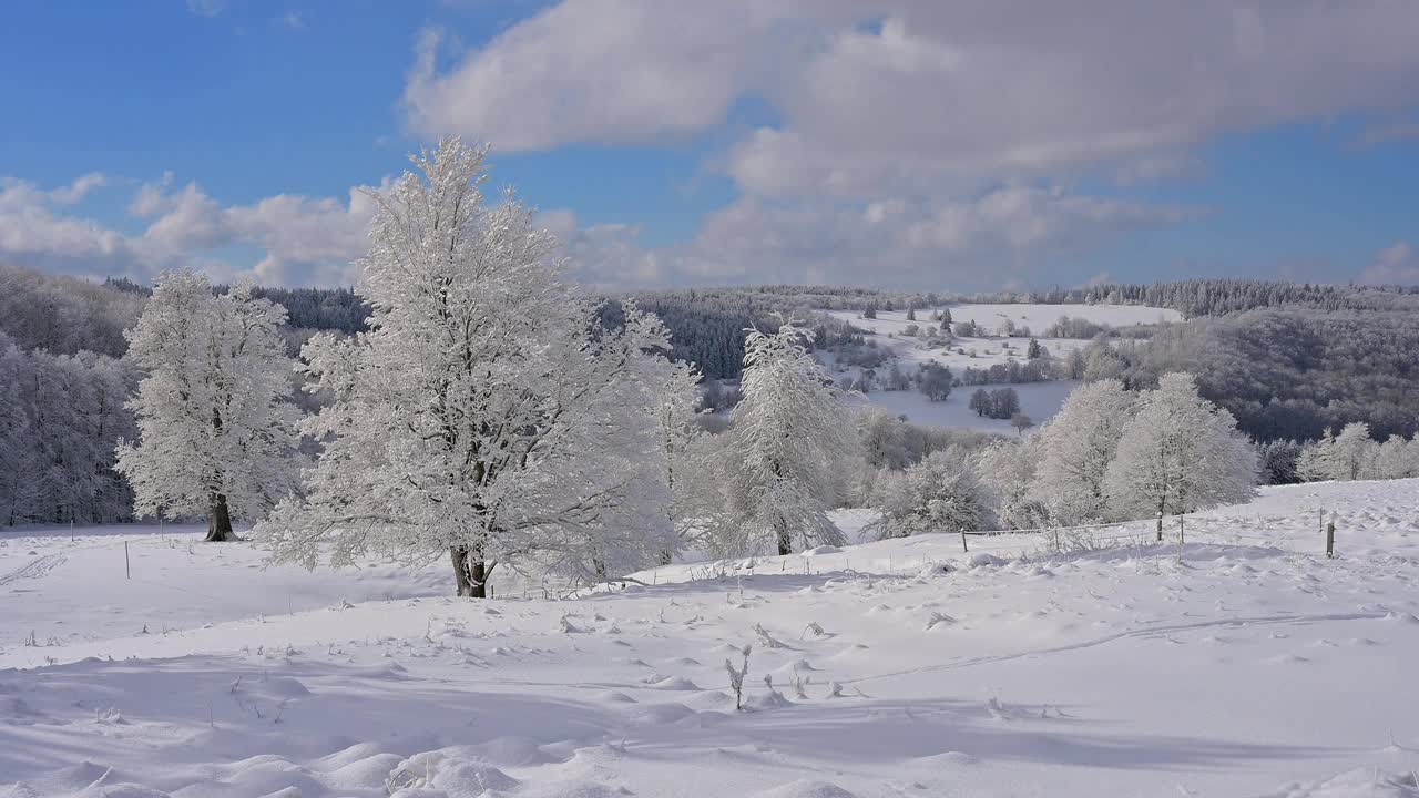 冬季景观中的山毛榉树，沃瑟库佩山，格斯菲尔德，Rhön，黑塞，德国视频素材