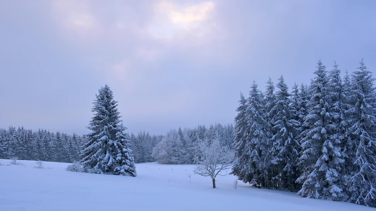 冬季景观在日出，瓦瑟库佩山，格斯菲尔德，Rhön，黑塞，德国视频素材