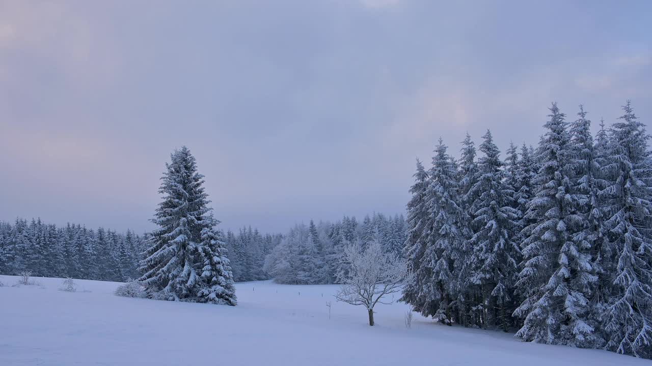 冬季景观在日出，瓦瑟库佩山，格斯菲尔德，Rhön，黑塞，德国视频素材