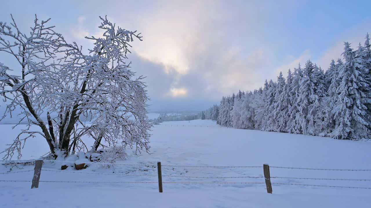 早晨的冬季景观，沃瑟库佩山，格斯菲尔德，Rhön，黑塞，德国视频素材