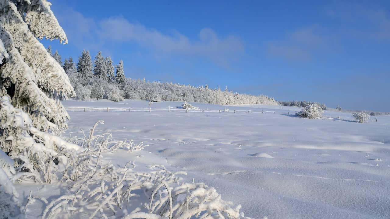 冬季景观，沃瑟库佩山，格斯菲尔德，Rhön，黑塞，德国视频素材