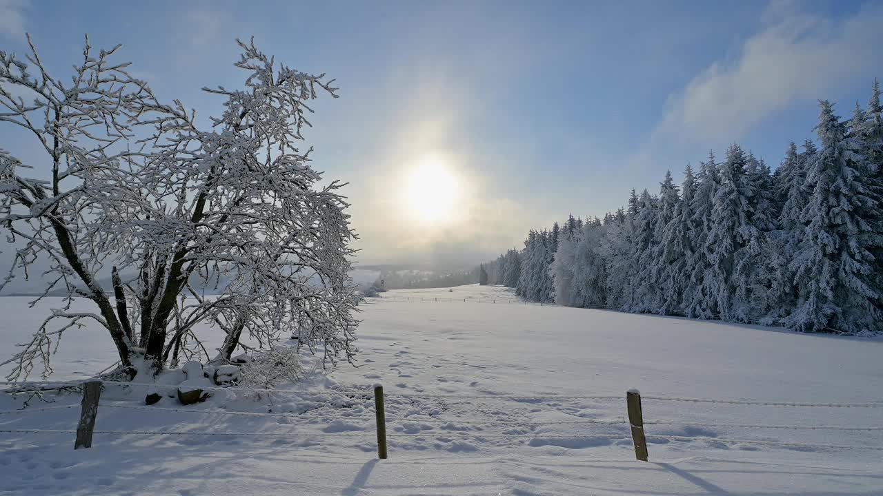 早晨的冬季景观，沃瑟库佩山，格斯菲尔德，Rhön，黑塞，德国视频素材