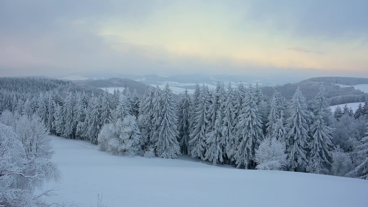 冬季景观在日出，瓦瑟库佩山，格斯菲尔德，Rhön，黑塞，德国视频素材