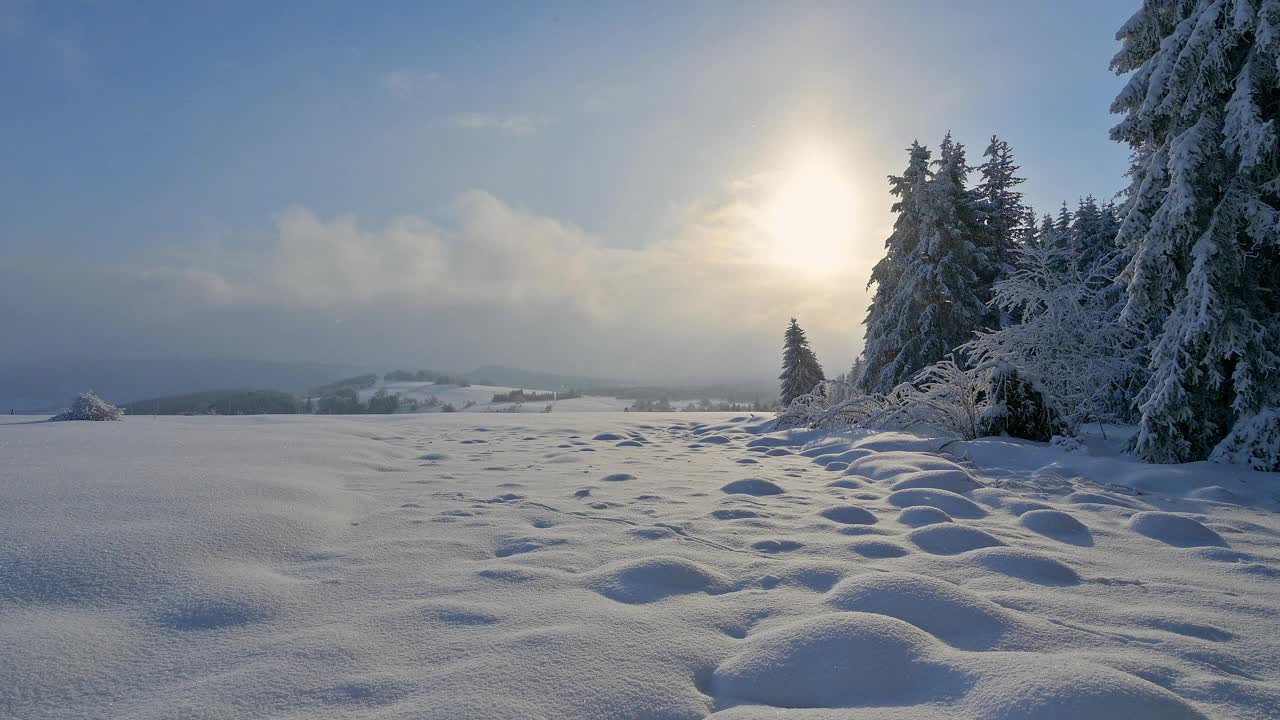 冬季景观，沃瑟库佩山，格斯菲尔德，Rhön，黑塞，德国视频素材