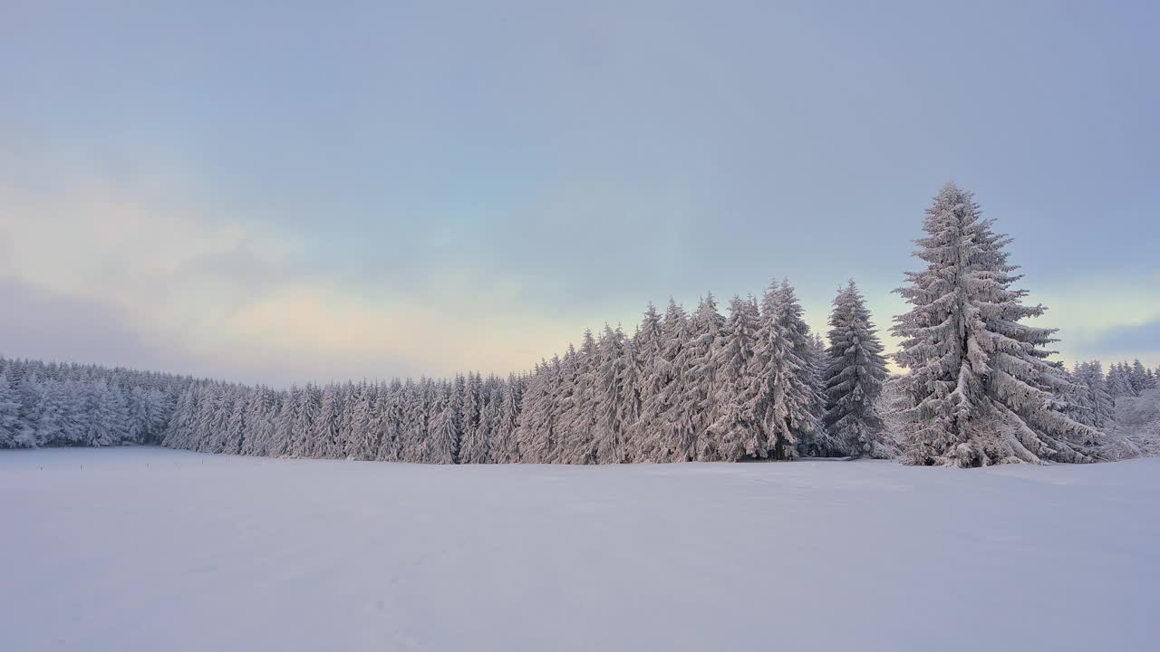 冬季景观在日出，瓦瑟库佩山，格斯菲尔德，Rhön，黑塞，德国视频素材