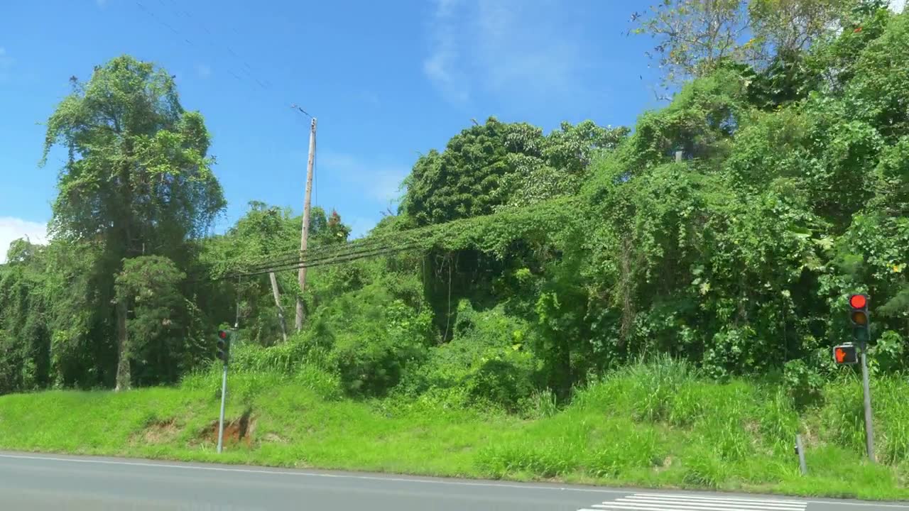 Car POV在夏威夷的自然景观，4k慢镜头60fps视频素材画面1