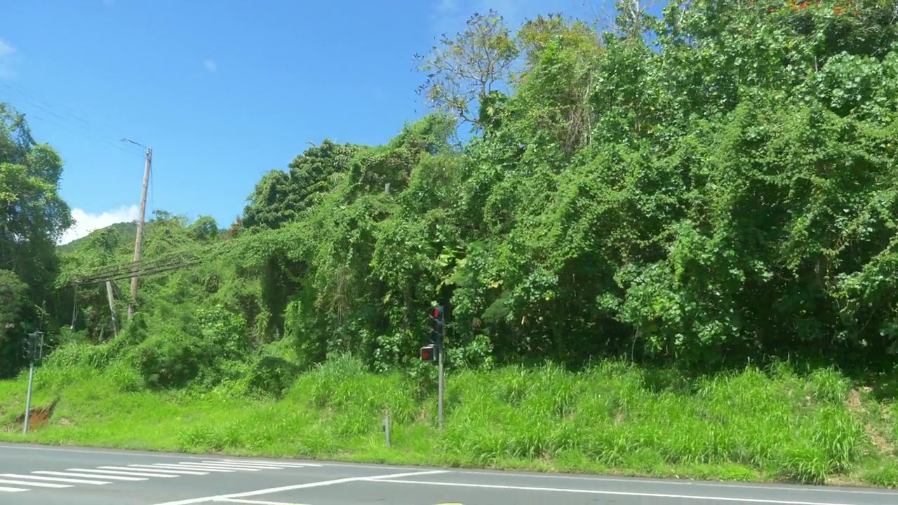 Car POV在夏威夷的自然景观，4k慢镜头60fps视频素材画面2