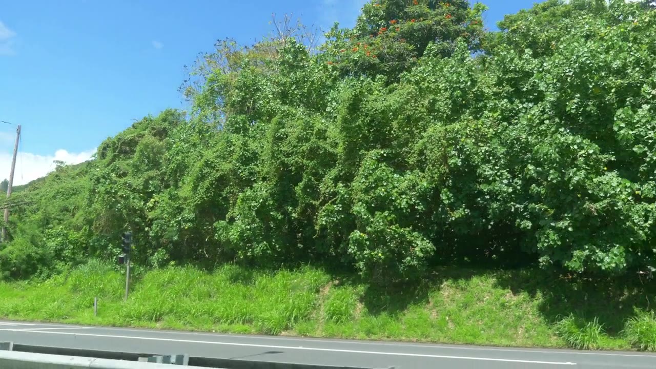 Car POV在夏威夷的自然景观，4k慢镜头60fps视频素材画面3
