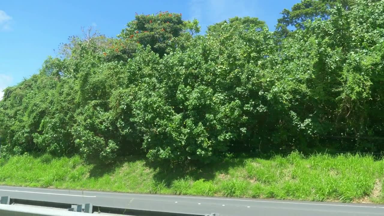 Car POV在夏威夷的自然景观，4k慢镜头60fps视频素材画面4