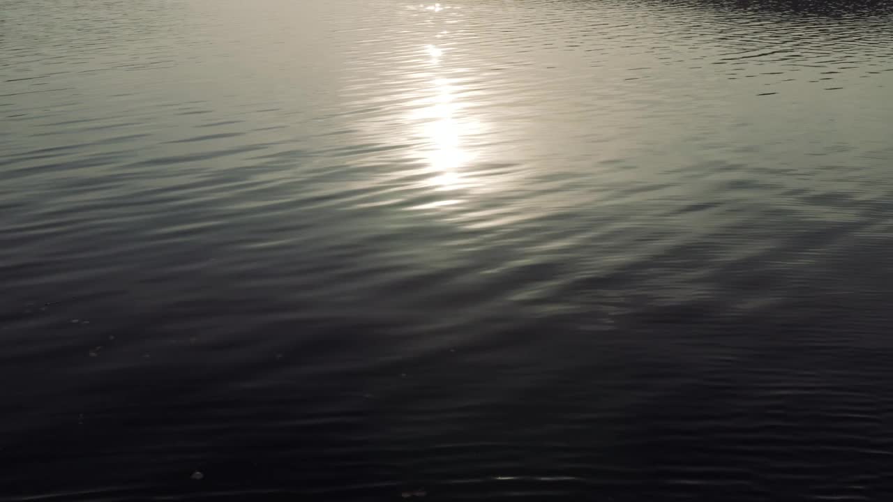 水面上的太阳反射视频素材