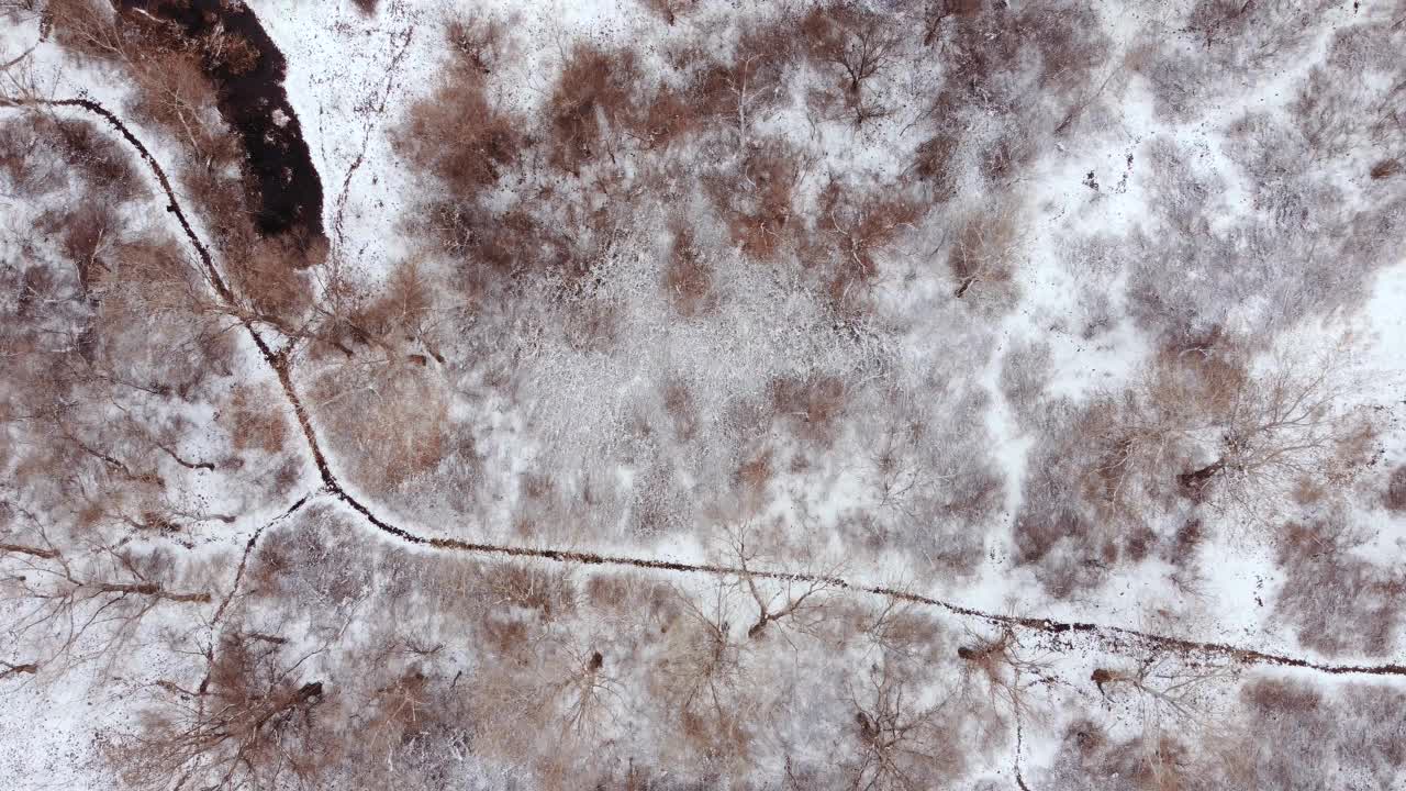 冰冻湖和雪鸟瞰图视频素材