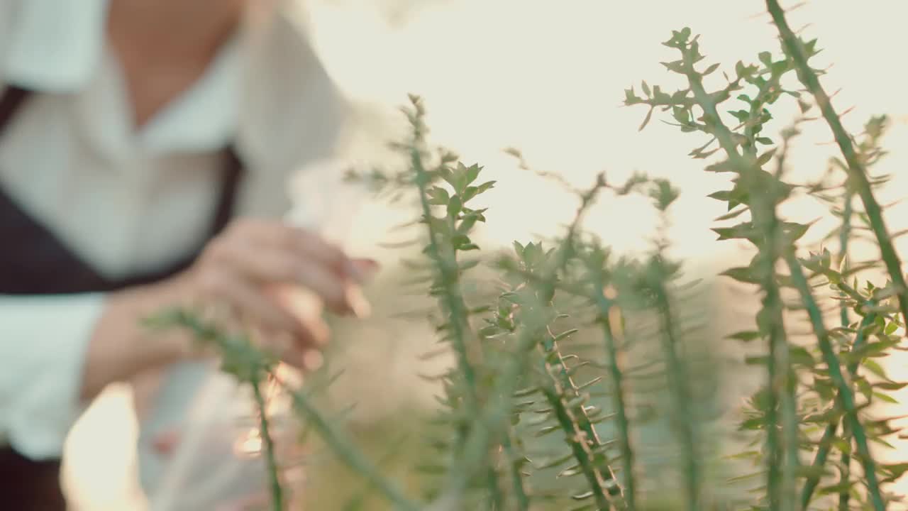 与自然在一起是幸福的视频素材