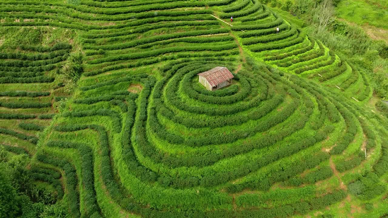 未来环境保护和可持续的ESG现代化发展视频素材