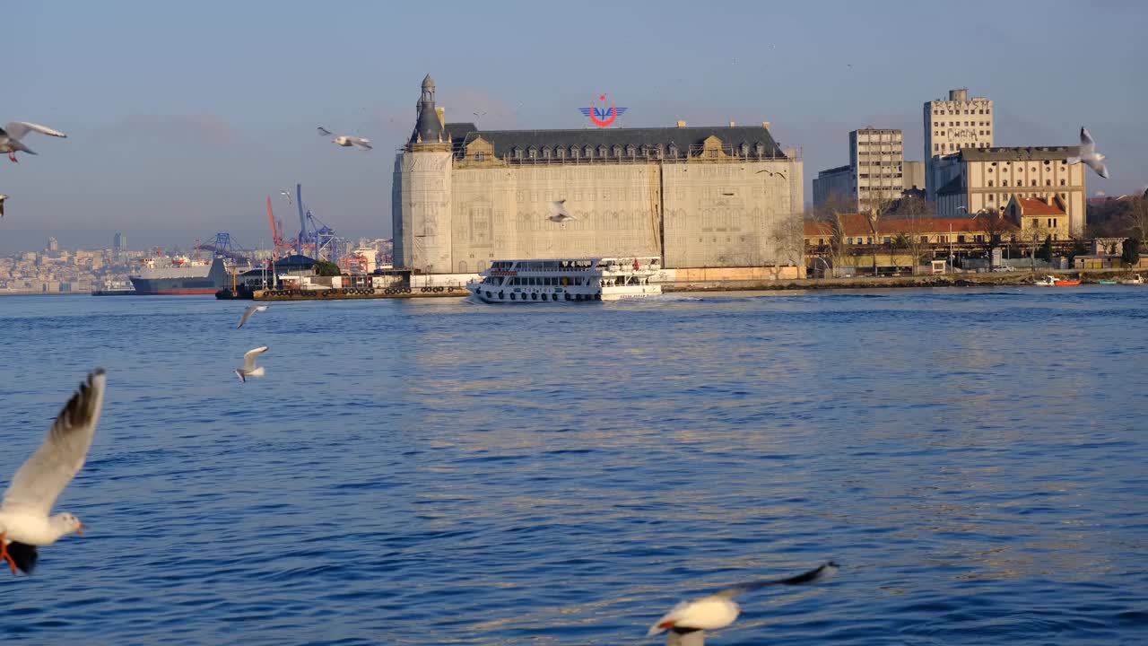 海鸥在博斯普鲁斯与古老的火车站，海达帕萨的背景在博斯普鲁斯。视频素材