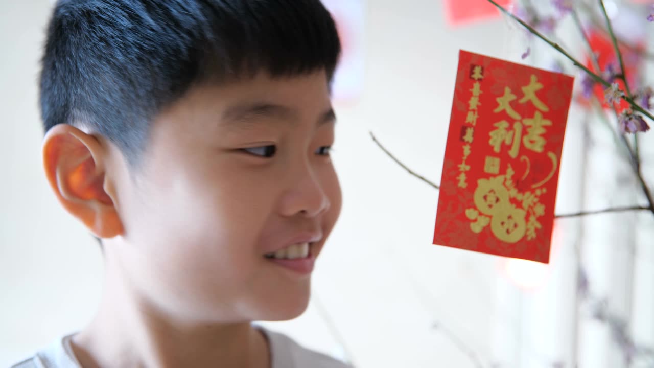 在中国新年快乐视频素材画面1
