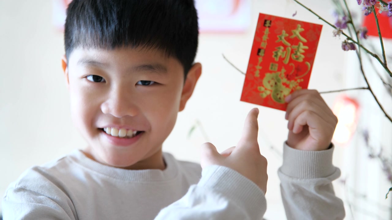 在中国新年快乐视频素材画面2