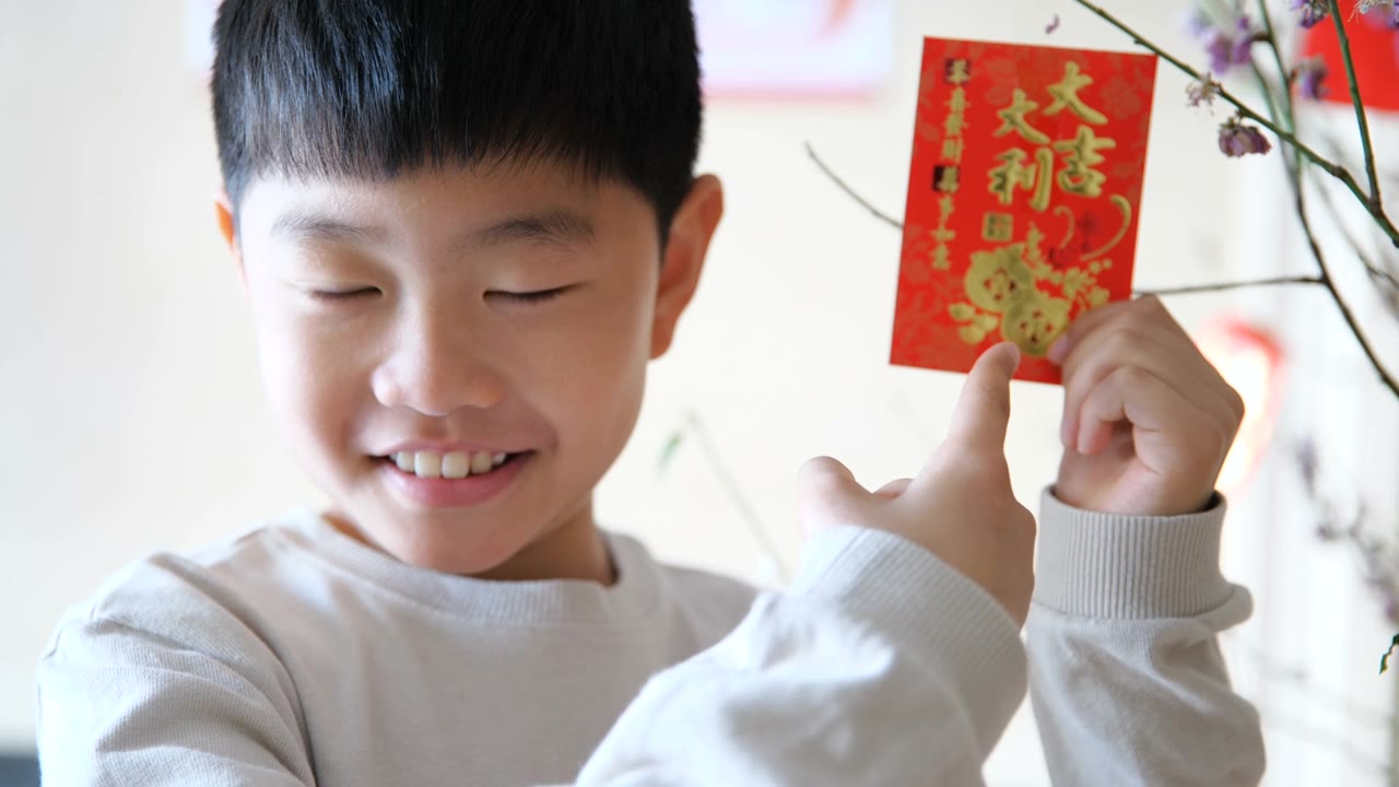 在中国新年快乐视频素材画面4