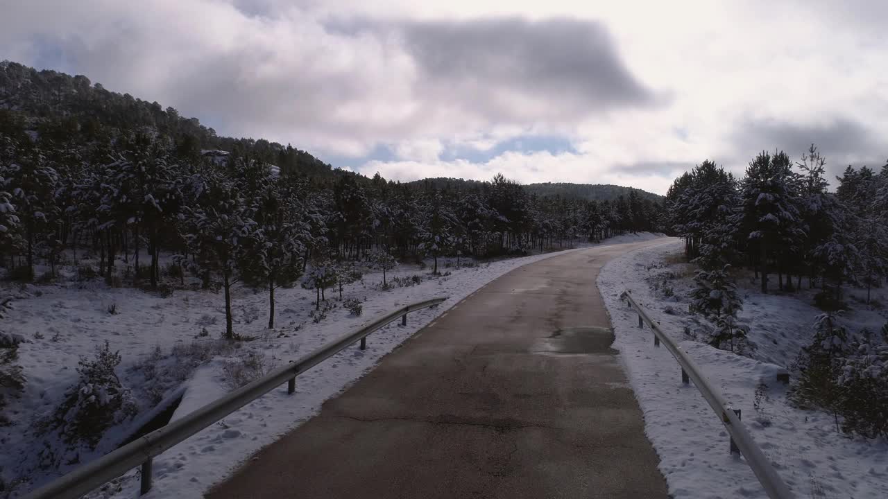 下雪的森林视频素材