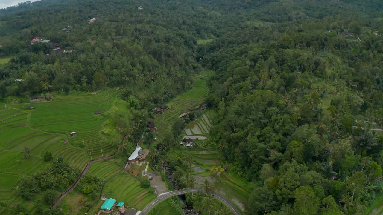 在巴厘岛热带雨林包围山谷稻田的鸟瞰图。亚洲具有传统梯田的农村视频素材