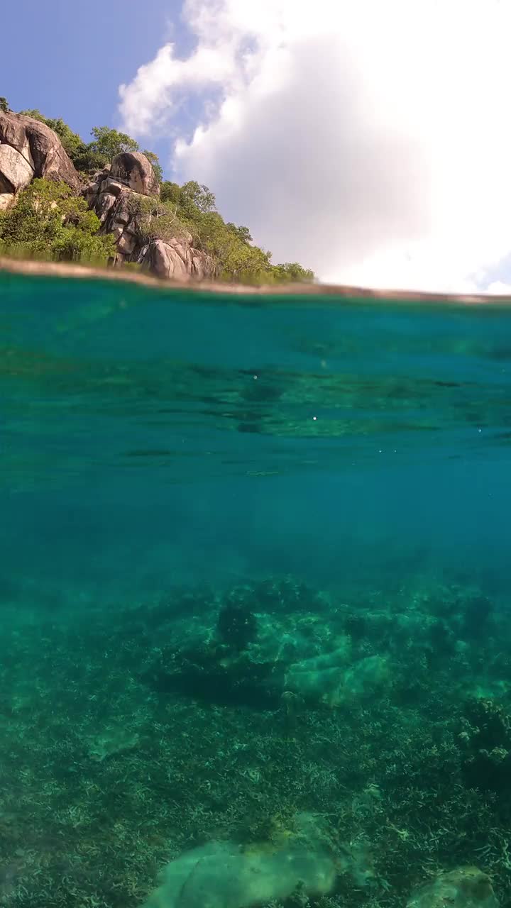 清澈的海水里的珊瑚礁，泰国视频素材