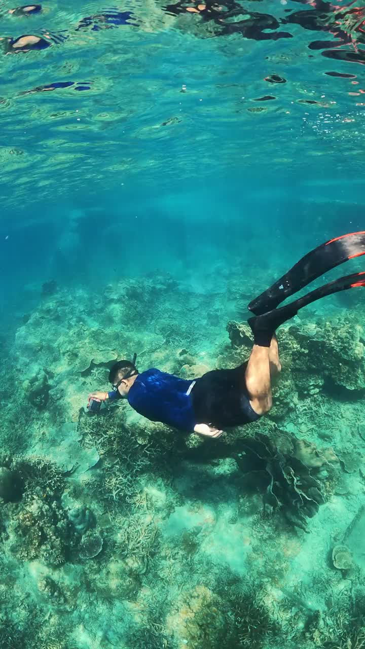 年轻的亚洲男子自由潜水穿着长鳍潜水在清澈的海水珊瑚礁海洋视频素材