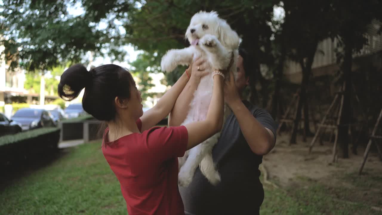 一对夫妇带着狗在公园里玩视频素材