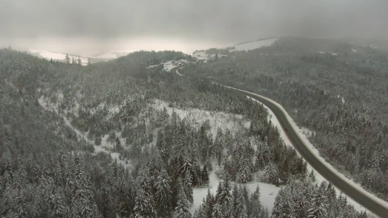 冬季森林在雾与道路和树在雪鸟瞰图，薄雾林地与雪枞-无人机视图视频素材