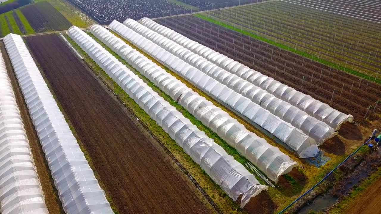 温室之间的绿色广阔的意大利葡萄园在农田视频素材画面4