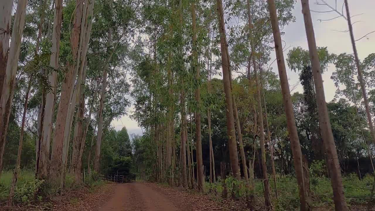 一个司机在泥土路上的观点视频素材