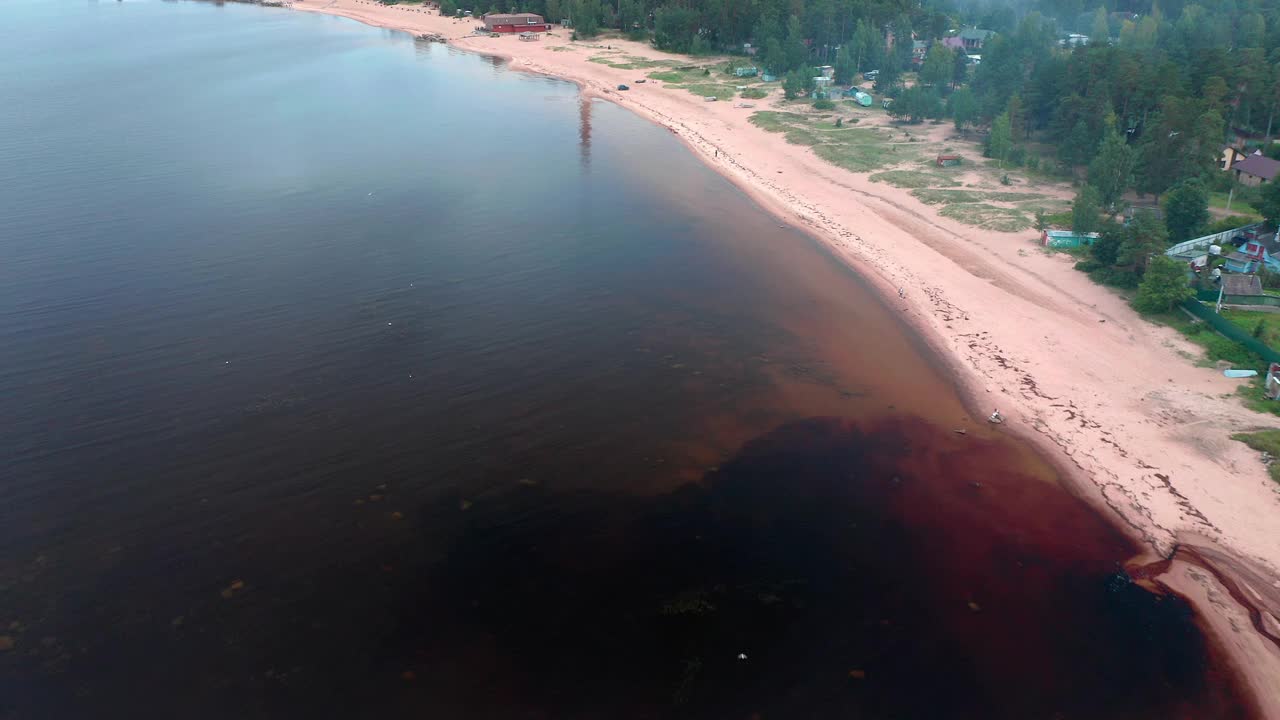 空海滩鸟瞰图湖边和森林视频素材