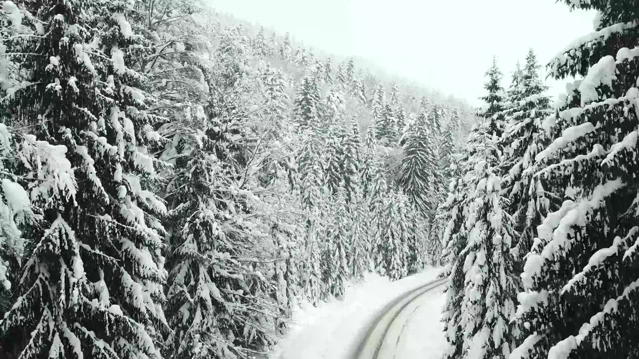 汽车行驶在冰雪覆盖的森林里的冬季乡村道路上视频素材