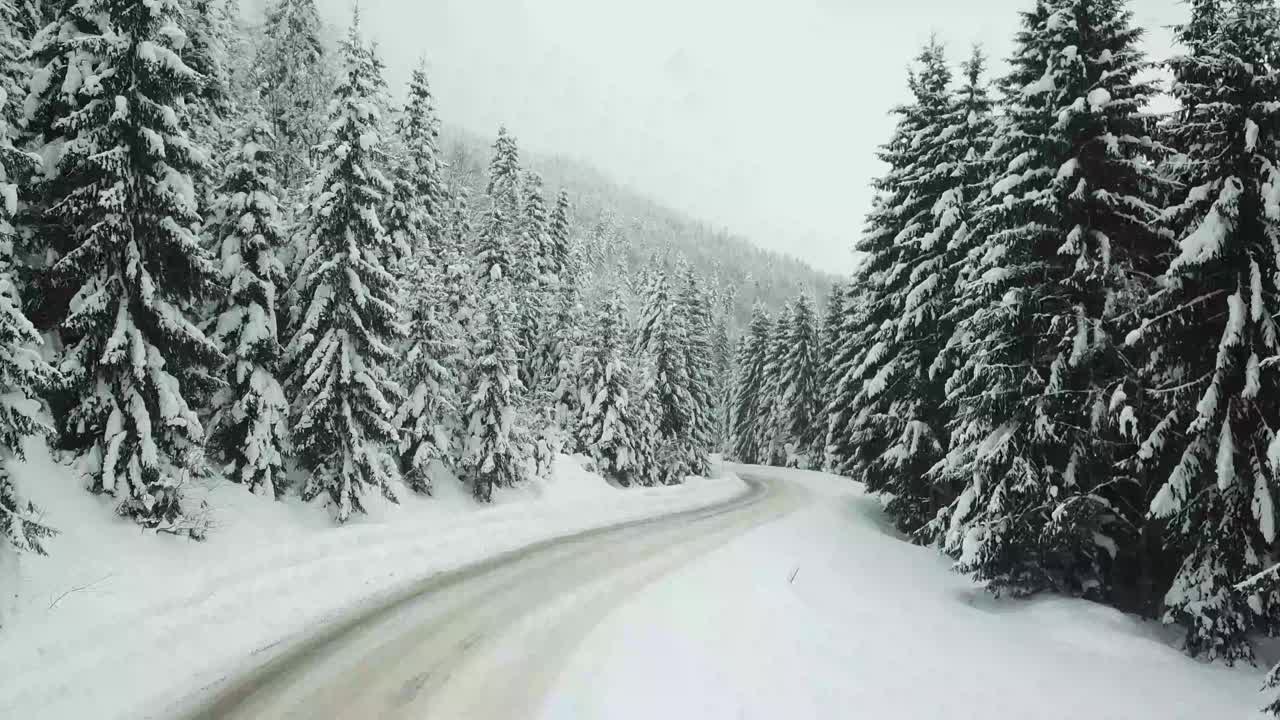 汽车行驶在冰雪覆盖的森林里的冬季乡村道路上视频素材