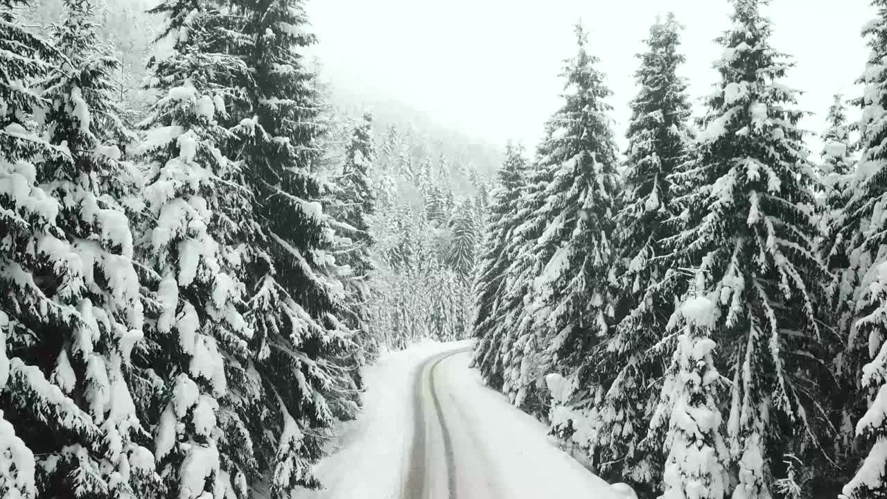 汽车行驶在冰雪覆盖的森林里的冬季乡村道路上视频素材