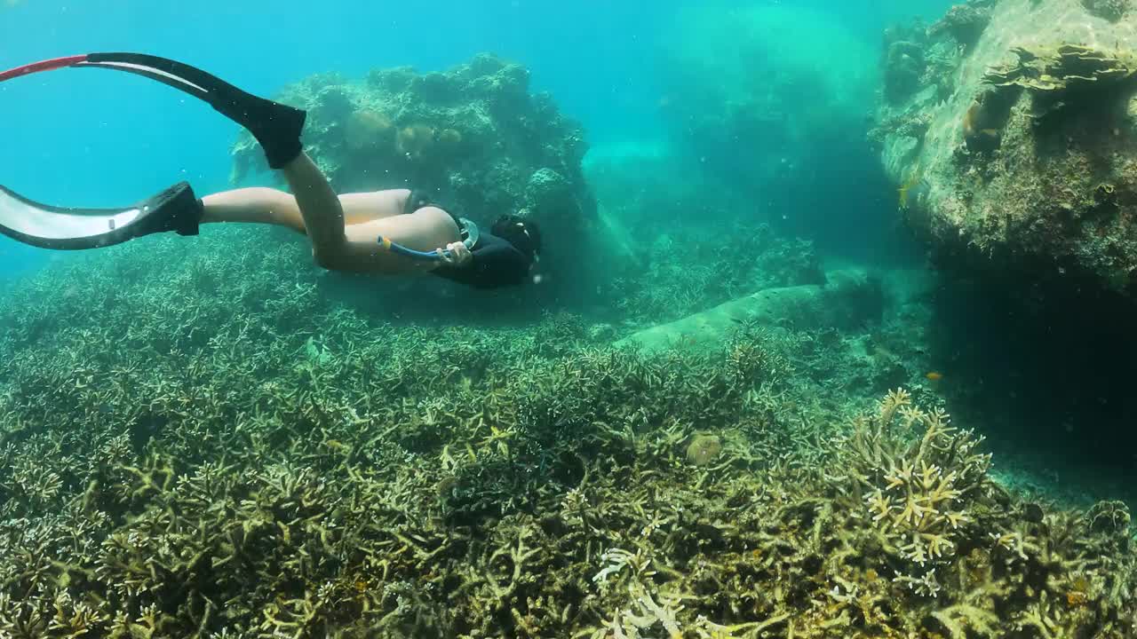 4K年轻女子自由潜水穿着长鳍自由潜水在清澈的水珊瑚礁在海洋视频素材