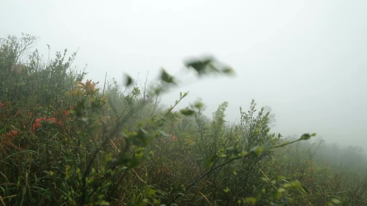 山上的大风视频素材画面1