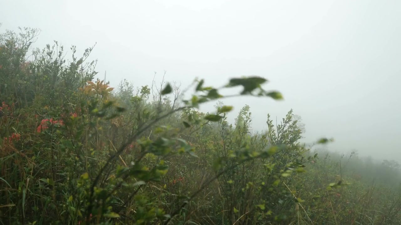 山上的大风视频素材画面3
