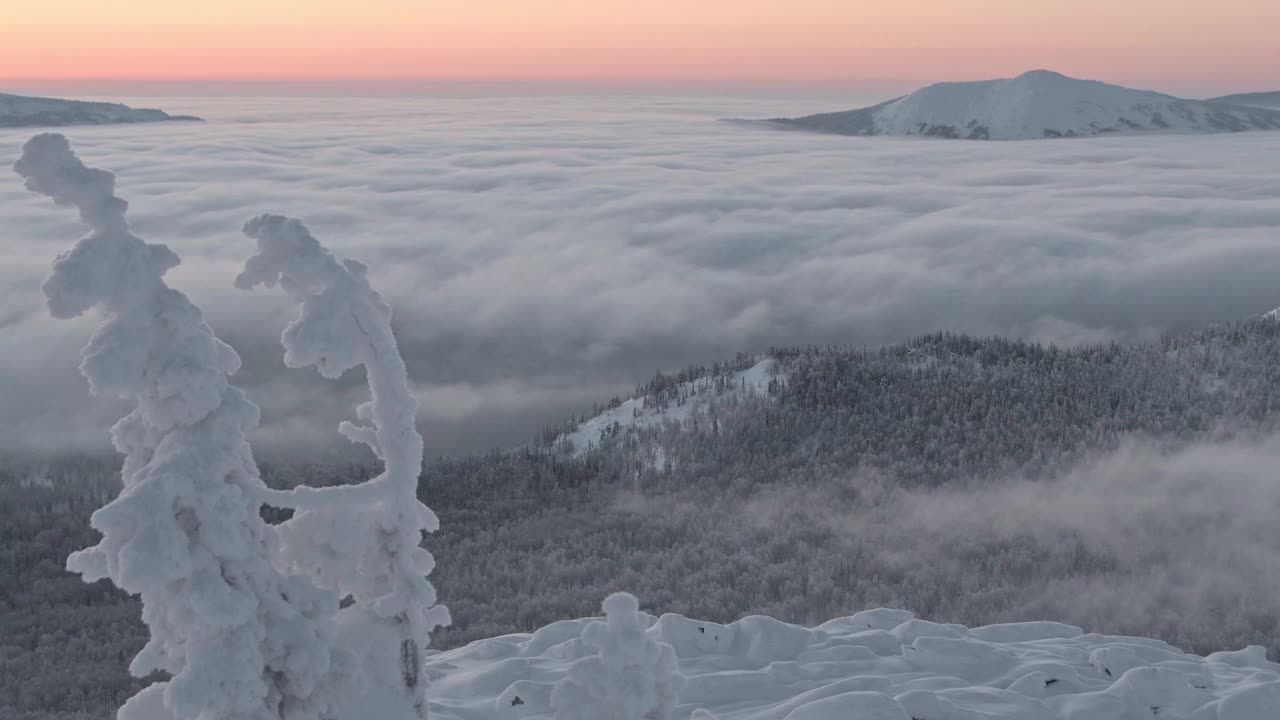 雾飘过白雪皑皑的森林。冬谷顶视图。视频素材