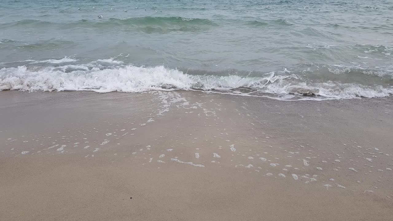 浪花上的海鸥。暴风雨天气。波涛汹涌的海面。视频素材