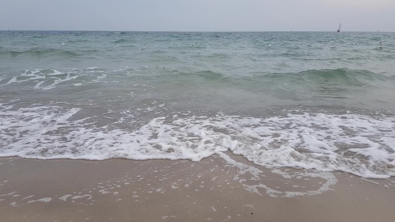 海鸥和一艘帆船在海浪上。暴风雨天气。波涛汹涌的海面。视频素材