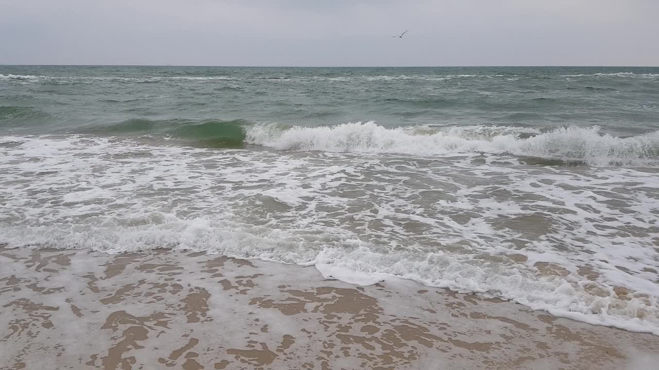 海景，沙滩，大海和灰色的云，海鸥在海浪上翱翔。暴风雨天气。波涛汹涌的海面。视频素材